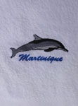 dauphin brodé sur serviette éponge